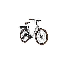 ZMH Vélo Électrique 26" Alliage De Aluminium Moteur 250w Freins à Double Disque Écran LCD