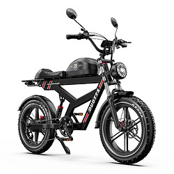 Avis Vélo électrique Adulte DUOTTS F20 20" 750W