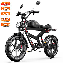 Vélo électrique Adulte DUOTTS F20 20" 750W