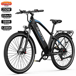 Vélo électrique DUOTTS C29 Max 29" 250W Noir
