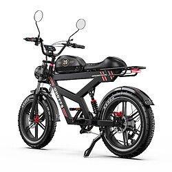 Acheter Vélo électrique Adulte DUOTTS F20 20" 750W