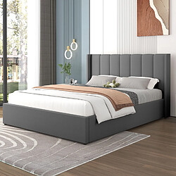 Avis Concept Usine Lit coffre design 160x200cm en velours gris ARLINGTON