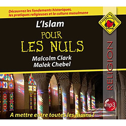 L'islam pour les nuls - Occasion