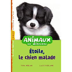 Animaux en détresse. Etoile, le chiot malade