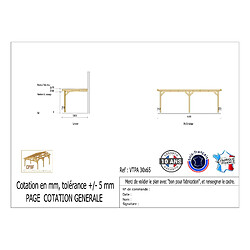 CPBF Carport adossé toit plat 300cmx650cm, bois DOUGLAS Français (Charpente en bois-auvent-abri voiture) 20 m². Garantie 10 ans