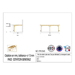 CPBF Carport adossé toit plat 350cmx450cm, bois DOUGLAS Français (Charpente en bois-auvent-abri voiture) 16 m². Garantie 10 ans