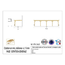 CPBF Carport adossé toit plat 350cmx1250cm, bois DOUGLAS Français (Charpente en bois-auvent-abri voiture) 44 m². Garantie 10 ans