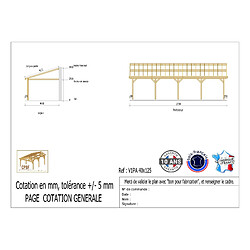 CPBF Carport adossé une pente 400cmx600cm, bois DOUGLAS Français (Charpente en bois-auvent-abri voiture) 24 m². Garantie 10 ans
