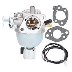 General Carburateur pour tondeuse à gazon BRIGGS & STRATTON 846944 847395 808725 350777~0208