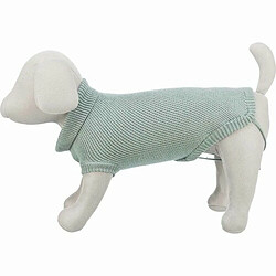 Vêtement pour chien