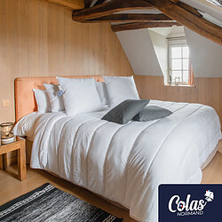 Colas Normand Couette 100% écologique chaude - 220x240 cm