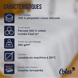Avis Colas Normand Couette thermorégulante tempérée - 240x220 cm