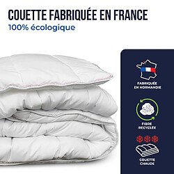 Acheter Colas Normand Couette 100% écologique chaude - 220x240 cm
