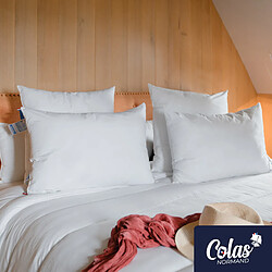 Colas Normand Oreiller thermorégulant TopCool® 50X70