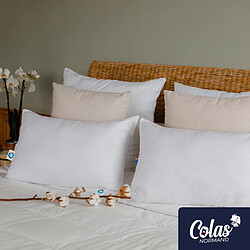 Colas Normand Oreiller bio moelleux - 45X70
