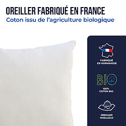 Acheter Oreiller Colas Normand coton bio certifié GOTS 50X70