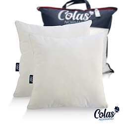 Colas Normand Lot d'oreillers bio moelleux - 65x65 cm