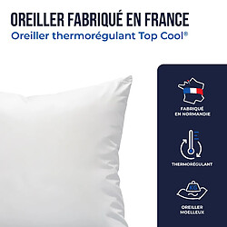 Acheter Colas Normand Oreiller thermorégulant TopCool® 50X70