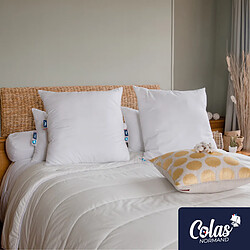 Colas Normand Lot d'oreillers bio moelleux - 65x65 cm