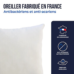 Acheter Colas Normand Oreiller anti-acariens et antibactérien 50×70 cm