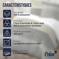 Avis Colas Normand Couette légère aux motifs MALILA - 240x220 cm