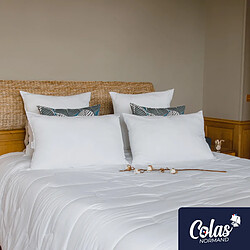 Oreiller Colas Normand coton bio certifié GOTS 50X70