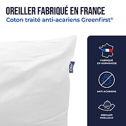 Acheter Oreiller Colas Normand anti-acariens GreenFirst® 45X70 cm