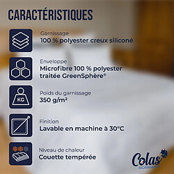 Avis Colas Normand Couette anti-acariens GreenSphere tempérée 200 x 200cm