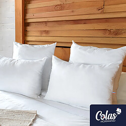 Oreiller Colas Normand anti-acariens GreenFirst® 45X70 cm