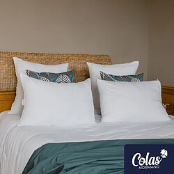Colas Normand Lot de 2 oreillers 100% écologiques 45×70 cm