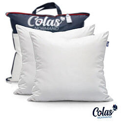 Colas Normand Lot de 2 oreillers lavables à 95° 60×60 cm