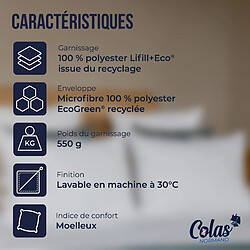 Avis Colas Normand Lot de 2 oreillers 100% écologiques 45×70 cm