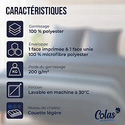 Avis Colas Normand Couette légère aux motifs GEO BLEU - 140X200 cm