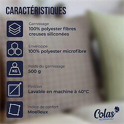 Avis Colas Normand Oreiller moelleux aux motifs vichy gris 60X60cm