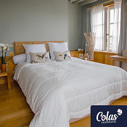 Colas Normand Couette coton bio chaude - 140x200 cm