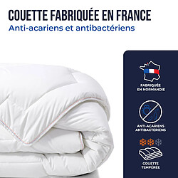 Acheter Colas Normand Couette anti-acariens GreenSphere tempérée 200 x 200cm