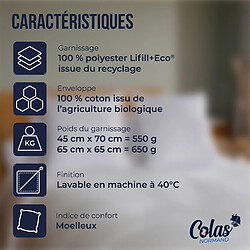 Avis Colas Normand Oreiller bio moelleux - 45X70