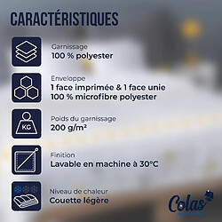 Avis Colas Normand Couette légère aux motifs SABI - 140x200 cm
