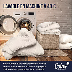 Colas Normand Oreiller moelleux aux motifs vichy gris 60X60cm pas cher