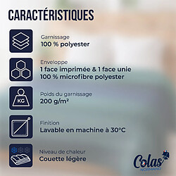 Avis Colas Normand Couette légère aux motifs CARREAUX - 140X200 cm