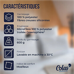 Avis Colas Normand Oreiller anti-acariens et antibactérien 50×70 cm