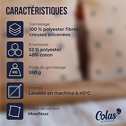 Avis Colas Normand Oreiller moelleux aux motifs géométriques - 60X60cm