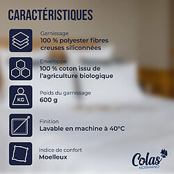 Avis Oreiller Colas Normand coton bio certifié GOTS 50X70