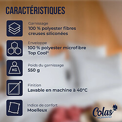 Avis Colas Normand Oreiller thermorégulant TopCool® 50X70