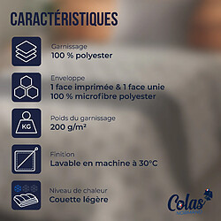 Avis Colas Normand Couette légère aux motifs ART DECO - 140X200 cm
