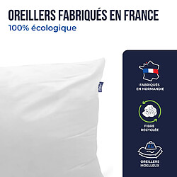 Acheter Colas Normand Lot de 2 oreillers 100% écologiques 45×70 cm