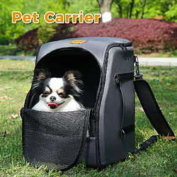 Equipement de transport pour chat