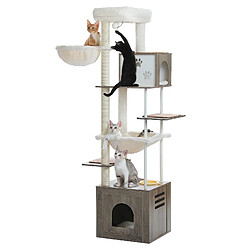 PAWZ Road Arbre à Chat 190 cm avec Coin Repas Gris