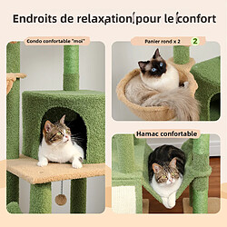 PAWZ Road Arbre à Chat du Sol au Plafond avec 2 Poteaux Cactus pas cher
