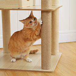 PAWZ Road Arbre à Chat en Bois 180 cm pour Grands Chats